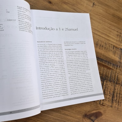 image_bb39a167-f302-42f2-8763-ebfc6f457f05