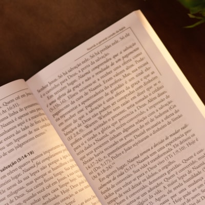 image_3dd7c239-2375-486b-842d-7ee8ee25c9ab