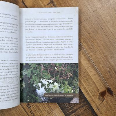 image_b810db3b-957b-4098-9c4f-199c80678b53