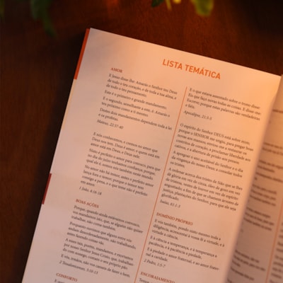 image_9748e509-5ff8-4dc1-91be-69997a97b9ab