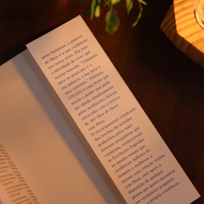 image_70528cf6-dbda-47ec-8675-c70493a894a6