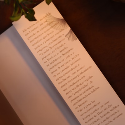 image_4306004e-ead3-4730-91d5-7527c27f1cb3