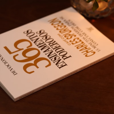 image_55319035-69b5-441a-bfdc-369d049aac2f