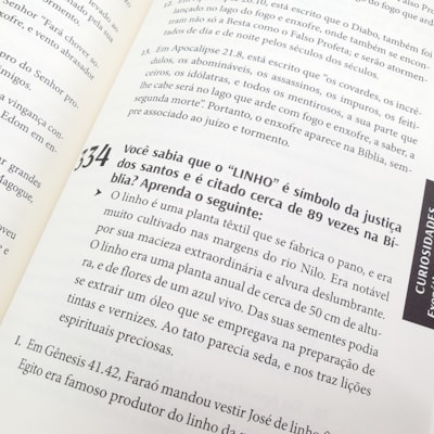 image_4d0dbc50-df62-490f-88bb-e27a951a00a4