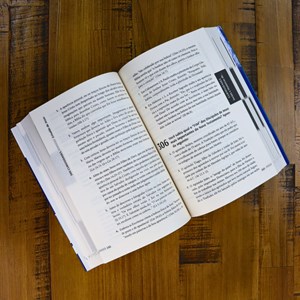 500 Curiosidades Bíblicas | Erivaldo de Jesus | Volume 2