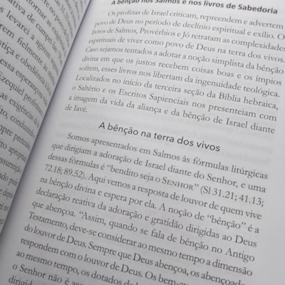 image_bfd39bbd-f601-416d-bbca-3043beb2d376