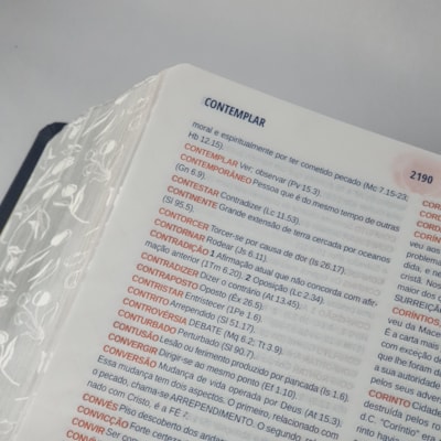 image_831fa2b8-f451-41f3-8a76-20441259a9d3