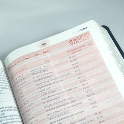 image_37f15fef-d01e-4838-8782-dfe548b9bad4