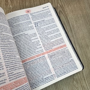 A Bíblia da Mulher | Letra Grande | ARC | Capa Luxo Azul