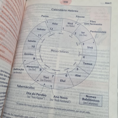 image_5c216490-428e-4ec2-87b6-b9acc62fcd66