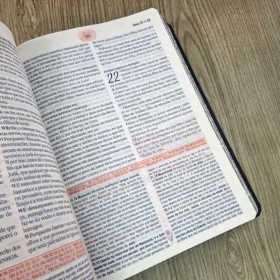 image_8f32041a-b4a5-4c70-ae87-fa93b63368e1