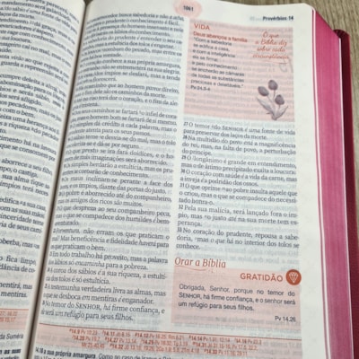 image_4b8d0096-b660-40a5-b98a-8836180de364