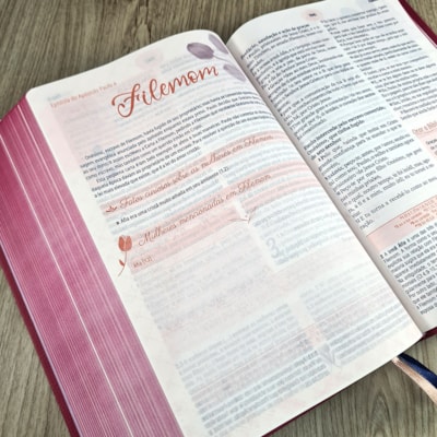 image_e03bb05e-8429-4b41-bbab-ba4ecc4e08fc