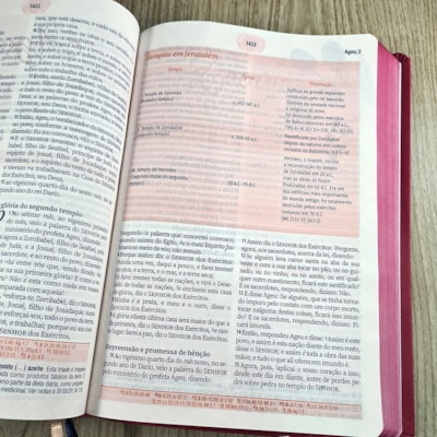 image_689d8646-ad27-475f-b3d6-bfc5d40267d5