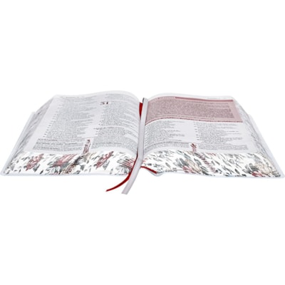 image_910f58cc-4950-4523-b658-e985f5295a7d