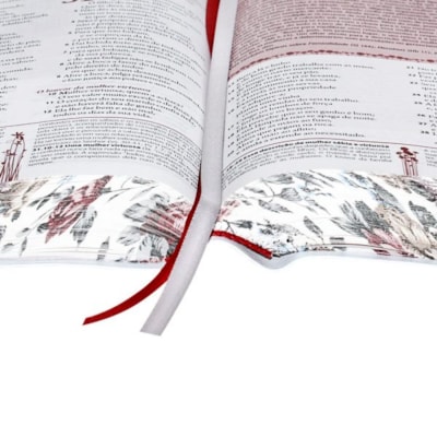 image_c39bb2aa-62d7-4b24-ae2a-67285e366540