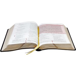 A Bíblia da Mulher | Letra Normal | ARA | Capa Preta Nobre Luxo