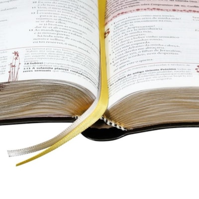 image_4a0e46fd-e3c1-4c6b-b52c-8962dc29e598