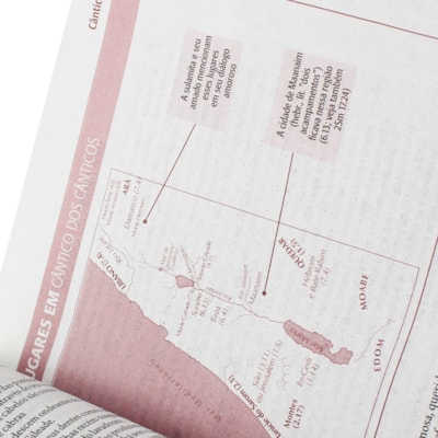 image_8ed1e1f3-753b-4f32-94d2-1c95327b9c84