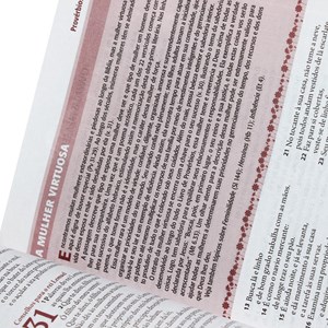 A Bíblia da Mulher | Letra Normal | ARA | Capa Tulipa Luxo Grande