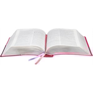 Segunda imagem do produto A Bíblia da Mulher | Letra Normal | ARC | Capa Flor Luxo