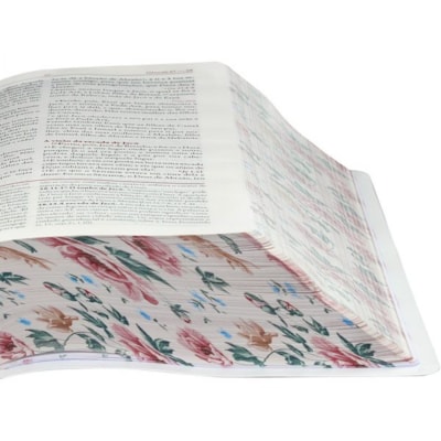 image_7a0b2099-6e92-4603-9f9f-81de21ed1288