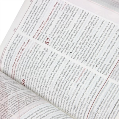 image_8fb46dd2-950c-4c62-9077-e92cacca0a24