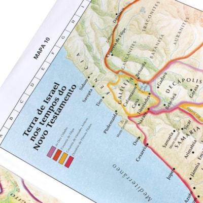 image_976f0064-7f7a-4e4a-be3d-b2d6a951d08b