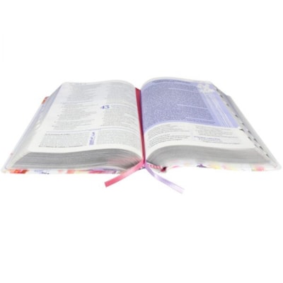 image_459c7036-1166-413a-965b-de5153f2f6df