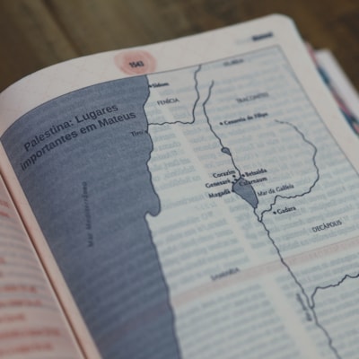 image_03ac09a7-c17d-478a-a9d8-2c94ad096d34