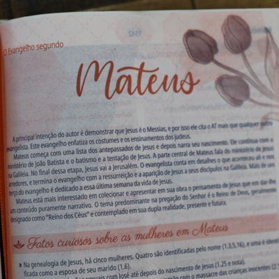 image_77e23544-75bc-44d8-9348-32805064aa86