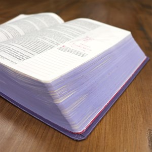 A Bíblia da Mulher que Ora - Edição Expandida | NVT | Letra Normal | Roxa