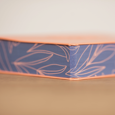 image_8696da5b-c3d6-4edf-8643-ea9fdc08751a