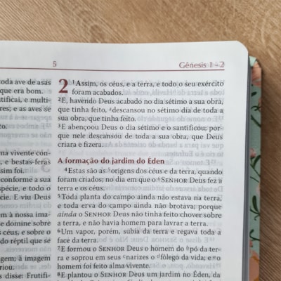 image_aa316327-192a-46e7-abd8-e7f5827145c0