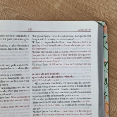 image_03ab9d82-3cc3-4a1c-b2dc-d2adef4d017b