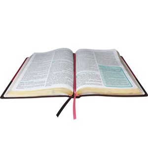 A Bíblia da Pregadora | Letra Normal | ARA | Capa Couro Luxo