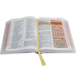 A Bíblia das Descobertas | Letra Normal | NTLH | Meninos