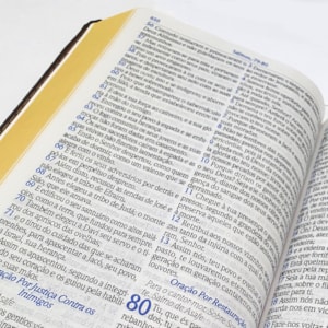 Segunda imagem do produto A Bíblia de Estudo do Homem Sábio | ARC | Letra Grande | Harpa Avivada e Corinhos | Capa Marrom