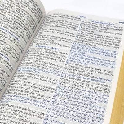 image_c5c2c5c9-f10c-441a-b765-380cb39f27b9