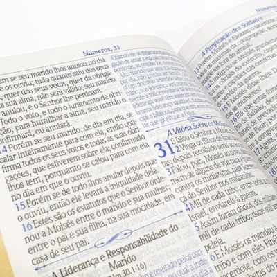 image_90ea7f9c-2b14-4182-aab7-f1ff8802da5f