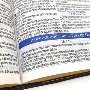 A Bíblia de Estudo do Homem Sábio | ARC | Letra Grande | Harpa Avivada e Corinhos | Capa Marrom