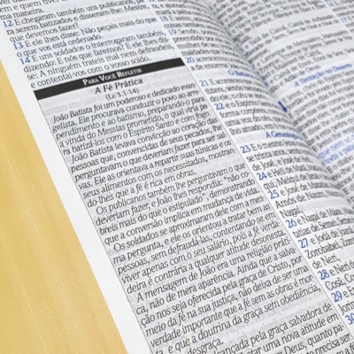 image_208853c6-d583-416f-b986-904616ee2e28