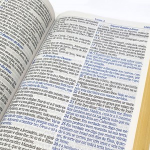 A Bíblia de Estudo do Homem Sábio | ARC | Letra Grande | Harpa Avivada e Corinhos | Capa Preta