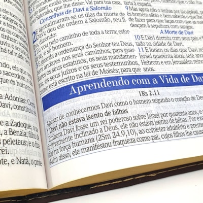 image_f358defa-273c-4c14-b24d-dd3c5ce3b50f