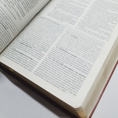 image_1c8fe285-084a-40a8-b58a-53d61ff71d5b