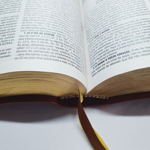 A Bíblia De Estudo Pentecostal Para Juventude | Marrom Luxo