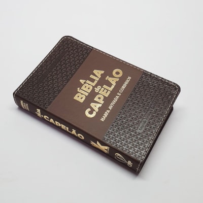 image_ccf87ca9-8145-499e-97e0-a19bb07452e8