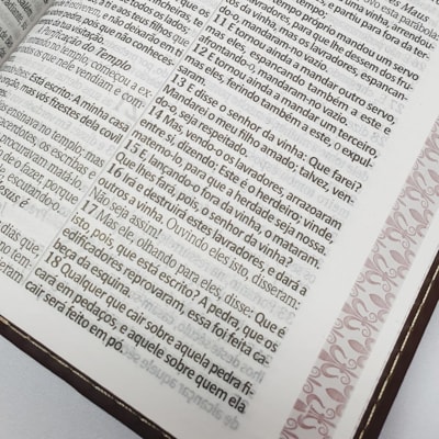 image_a16f5871-d4a5-4109-9cdf-f99b9fc9caac