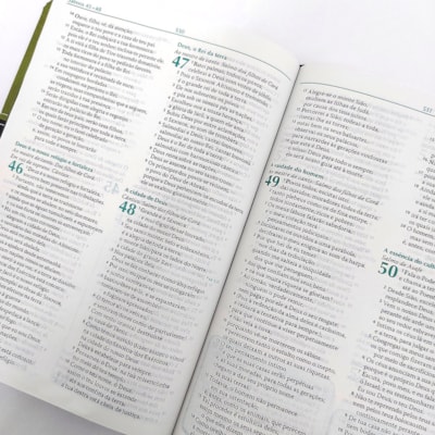 image_7dedd593-e0da-428f-bdbb-2c8a1f2fa6c7