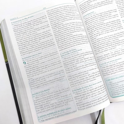 image_8debfae8-422d-4534-aee6-ffecf1281901